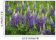 Budding Purple Lupines Wall Mural