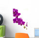 Orchidee