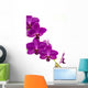 Orchidee
