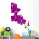 Orchidee