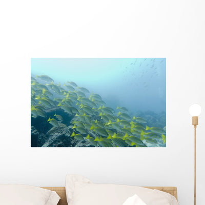School Fish Swimming Underwater Wall Mural shown on a wall