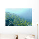 A School Of Fish Swimming Underwater Wall Mural