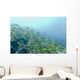 A School Of Fish Swimming Underwater Wall Mural
