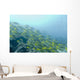 A School Of Fish Swimming Underwater Wall Mural