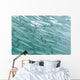 A School Of Barracudas Swimming Underwater Wall Mural