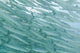 A School Of Barracudas Swimming Underwater Wall Mural