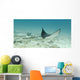 A Spotted Eagle Ray Under The Water Wall Mural