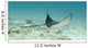 A Spotted Eagle Ray Under The Water Wall Mural