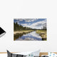 Clouds Reflected In A Tranquil River Lined With Trees Wall Mural