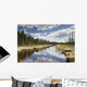 Clouds Reflected In A Tranquil River Lined With Trees Wall Mural