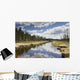 Clouds Reflected In A Tranquil River Lined With Trees Wall Mural