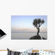 A Lone Tree On Lake Superior Wall Mural