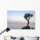 A Lone Tree On Lake Superior Wall Mural