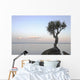 A Lone Tree On Lake Superior Wall Mural