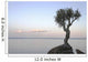 A Lone Tree On Lake Superior Wall Mural