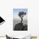 A Lone Tree On Lake Superior Wall Mural