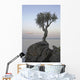 A Lone Tree On Lake Superior Wall Mural