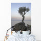 A Lone Tree On Lake Superior Wall Mural