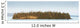 Trees Covering An Island On Lake Superior At Sunset Wall Mural