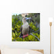 A Red-Footed Booby Wall Mural