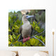 A Red-Footed Booby Wall Mural
