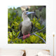 A Red-Footed Booby Wall Mural