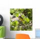 Yellow Warbler Wall Mural