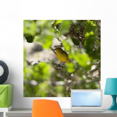 Yellow Warbler Wall Mural shown on a wall