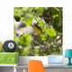 Yellow Warbler Wall Mural