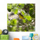 Yellow Warbler Wall Mural