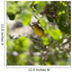 Yellow Warbler Wall Mural