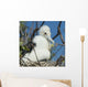 A Frigatebird Sitting In A Nest Wall Mural