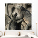 Two Marine Iguanas Showing Affection Wall Mural