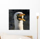 Nazca Booby Wall Mural