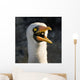 Nazca Booby Wall Mural