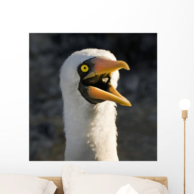Nazca Booby Wall Mural shown on a wall