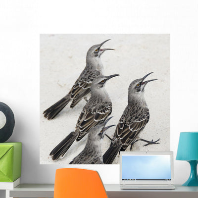 Mockingbirds Wall Mural shown on a wall