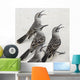 Mockingbirds Wall Mural