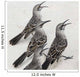 Mockingbirds Wall Mural