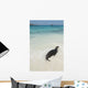 A Sea Lion Wall Mural
