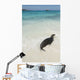 A Sea Lion Wall Mural