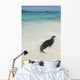 A Sea Lion Wall Mural