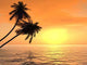 Palms Sunset Wall Decal