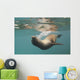 A Sea Lion Swimming Under The Water's Surface Wall Mural