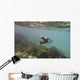 A sea lion swimming under the water's surface Wall Mural