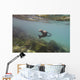 A sea lion swimming under the water's surface Wall Mural