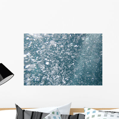 Bubbles Underwater Wall Mural shown on a wall