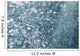 Bubbles Underwater Wall Mural