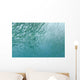 A Large Group Of Pacific Barracuda In The Pacific Ocean Wall Mural