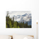 A Forest And The Rocky Mountains Wall Mural
